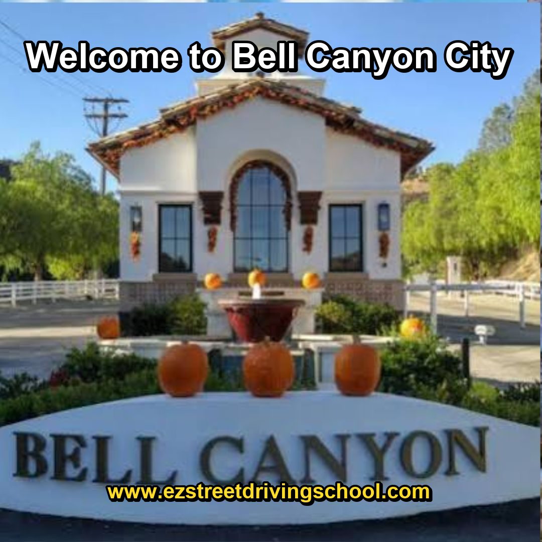 Driving Lessons in Bell Canyon